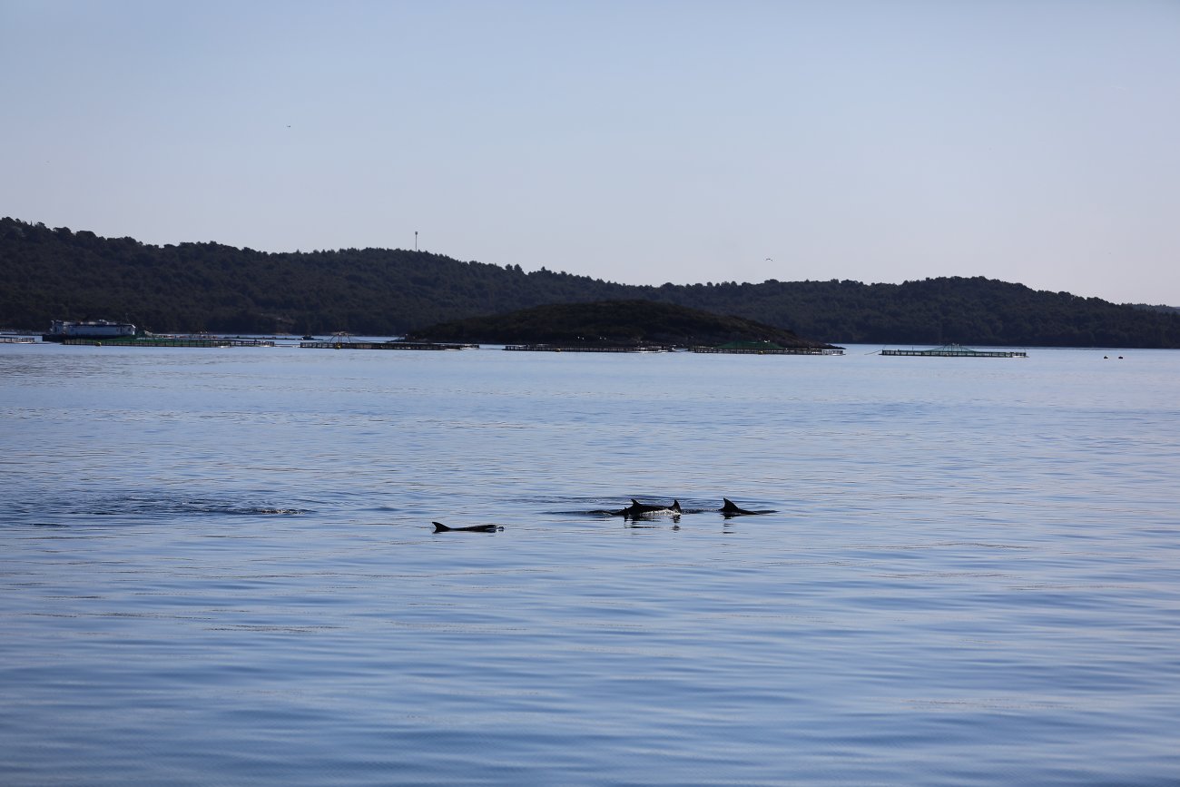 Do kraja kolovoza otvoreno javno savjetovanje sa zainteresiranom javnošću za izradu Plana razvoja otoka Zadarske županije