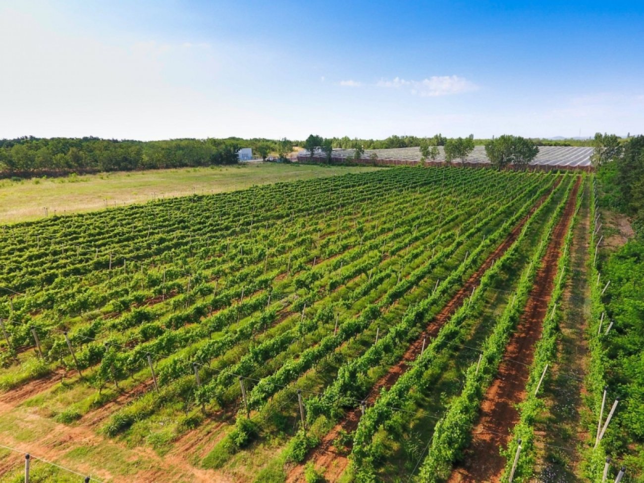Županijskih milijun kuna za potpore poljoprivrednicima