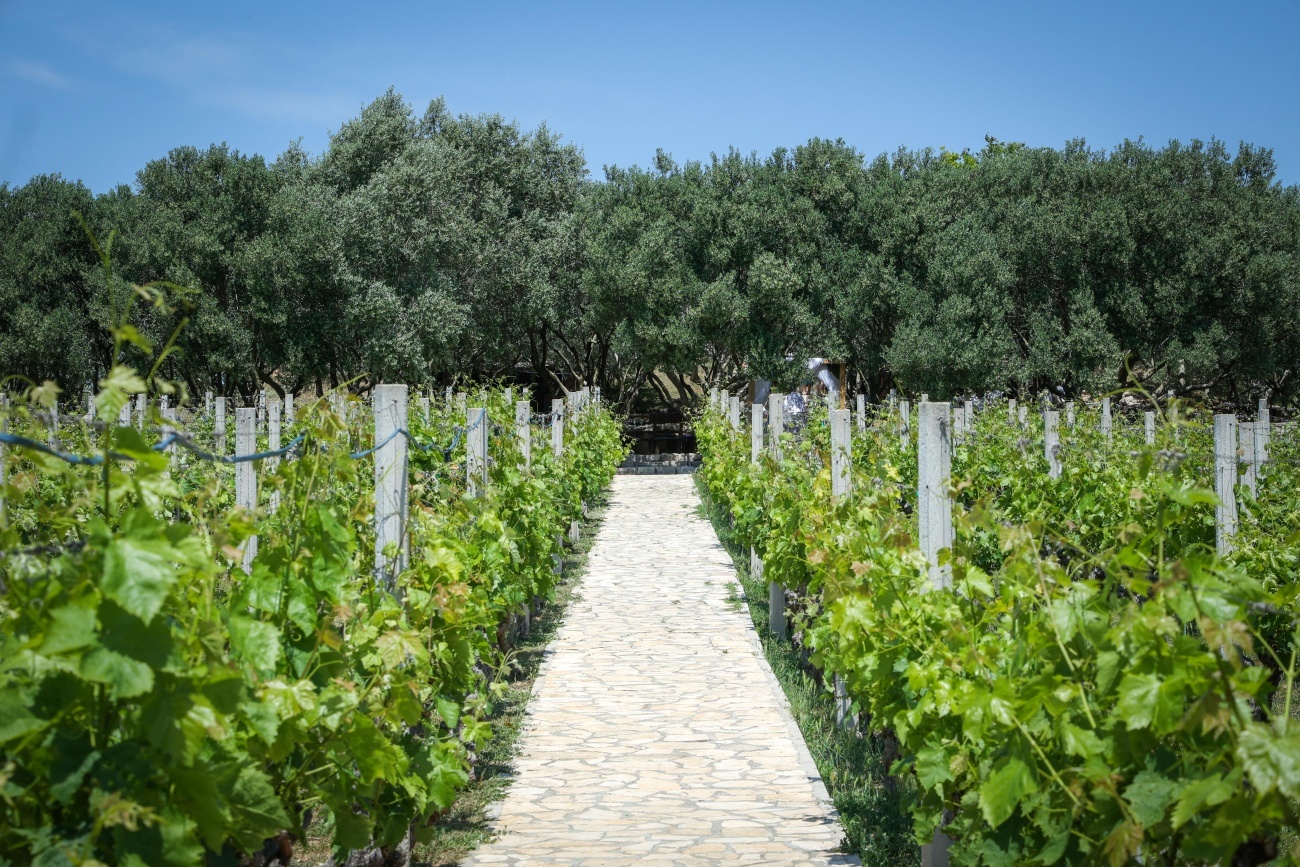 Zadarska županija objavila Javni poziv za sufinanciranje projekata udruga iz poljoprivrede, ribarstva i zaštite životinja