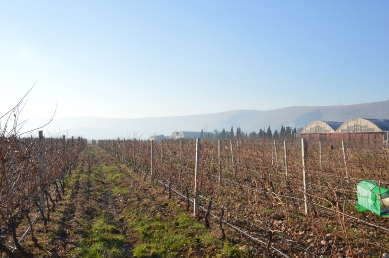 Agrometeorološke stanice nabavljene kroz projekt PESCAR odsada će pratiti vremenske prilike za potrebe poljoprivredne proizvodnje