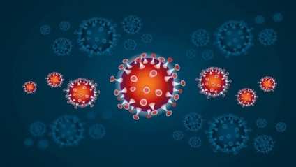 Na području Zadarske županije u protekla je tri dana zabilježeno 47 novih slučajeva zaraze koronavirusom