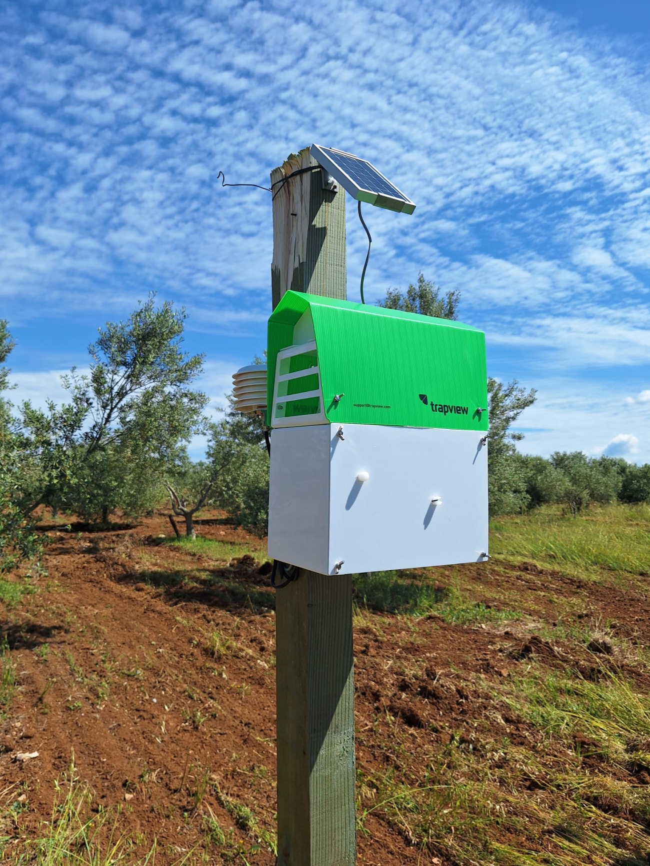 Snažna potpora poljoprivredi: Zadarska županija uvodi najmoderniju tehnologiju u borbi protiv štetnika u maslinarstvu