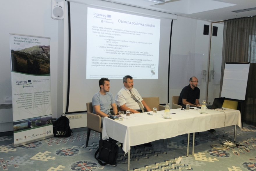 Održan treći tehnički panel (druga tematska radionica) u sklopu projekta Forest Bioenergy in the Protected Mediterranean Areas – ForBioEnergy