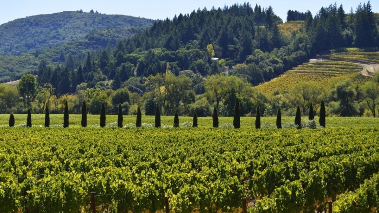 WEBINAR: OPG turizam - kako iskoristiti online kanale za povećanje prihoda