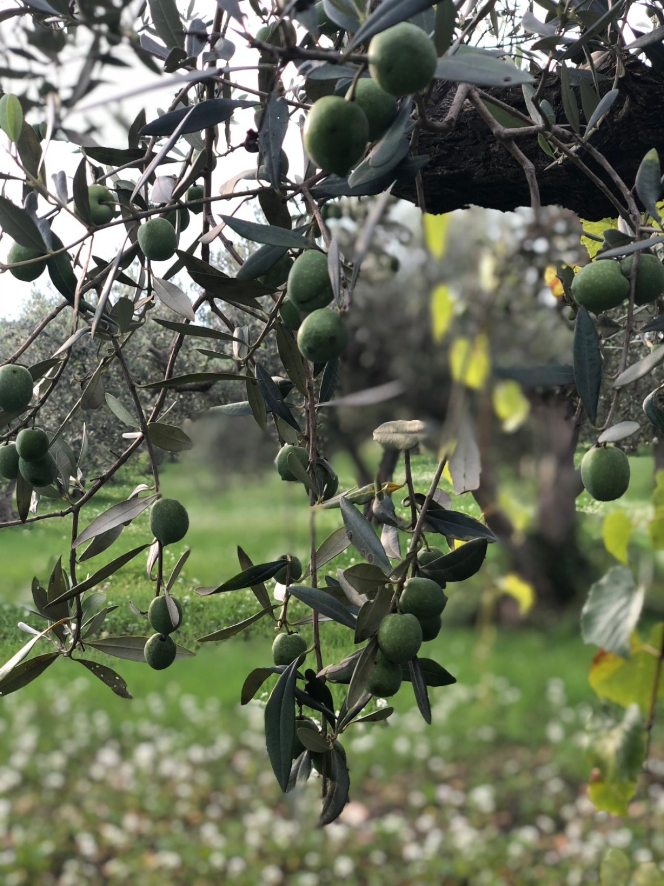 GECO2 najbolji EU projekt doprinosa znanosti i inovacijama