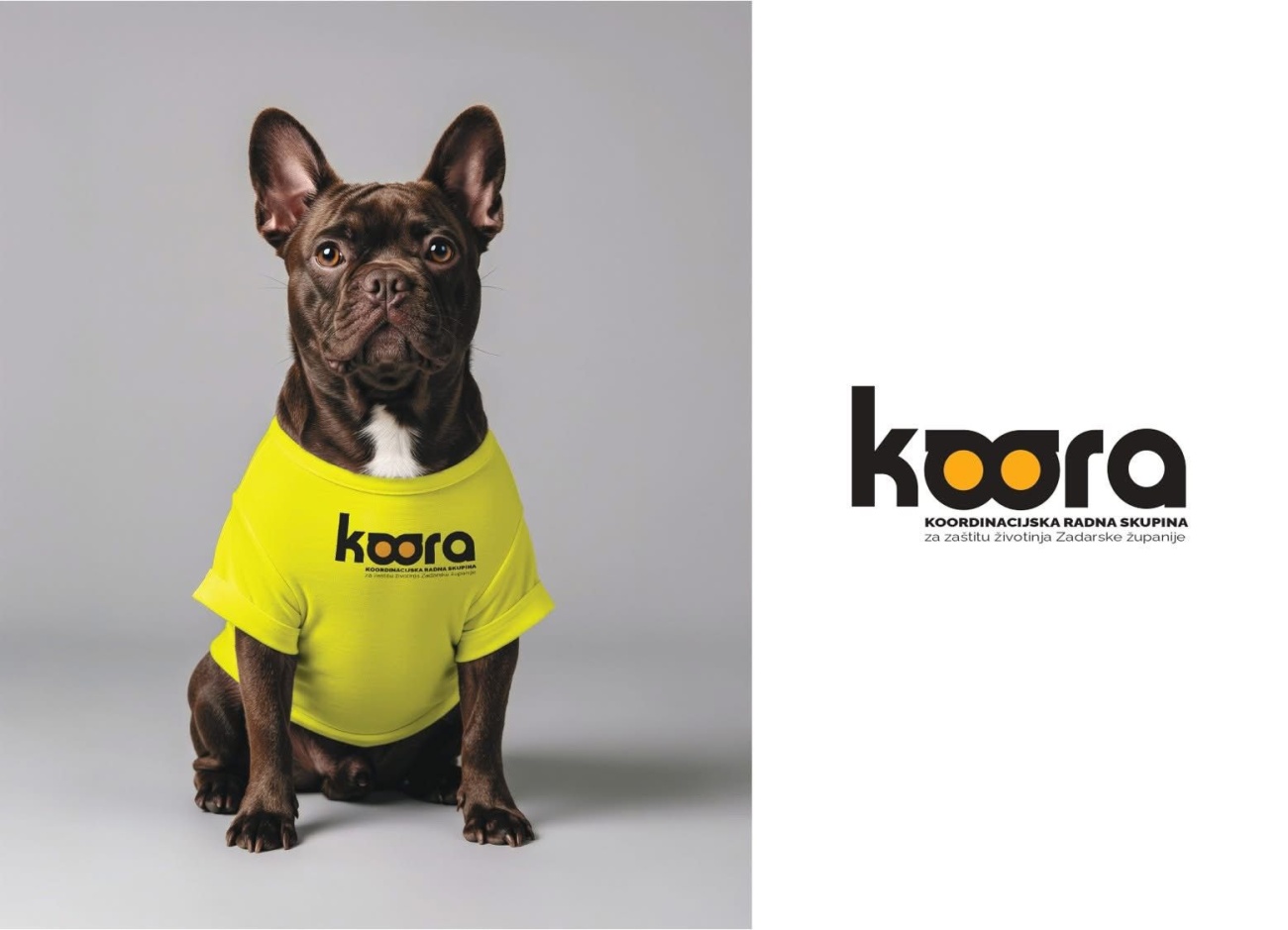 KOORA započela s radom: snažnija zaštita životinja u Zadarskoj županiji