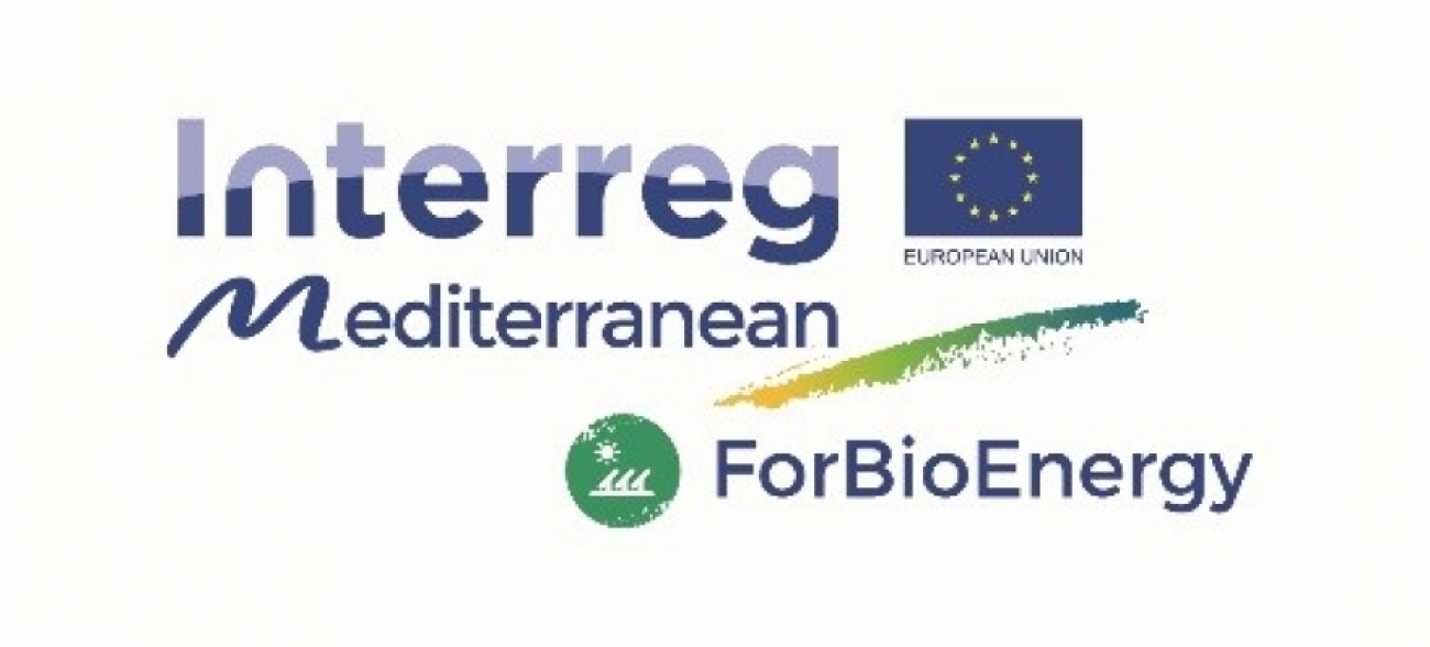 Rezultati projekta ForBioEnergy