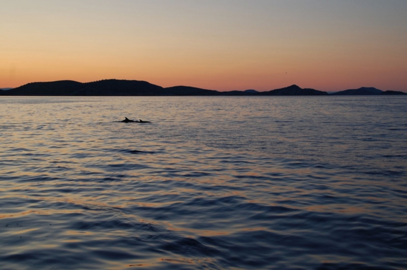 PRIZEFISH “Upravljanje eko-inovativnim lancima opskrbe u ribarstvu, kako bi se postigla dodana vrijednost jadranskih ribljih proizvoda”