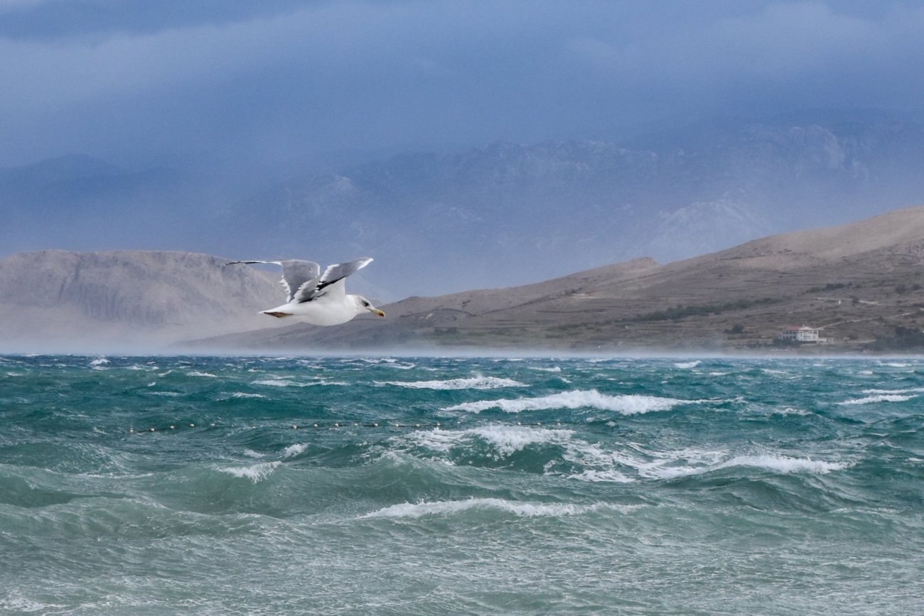 Dvije nagrade na natječaju Volim svoju županiju osvojile fotografije iz Zadarske županije