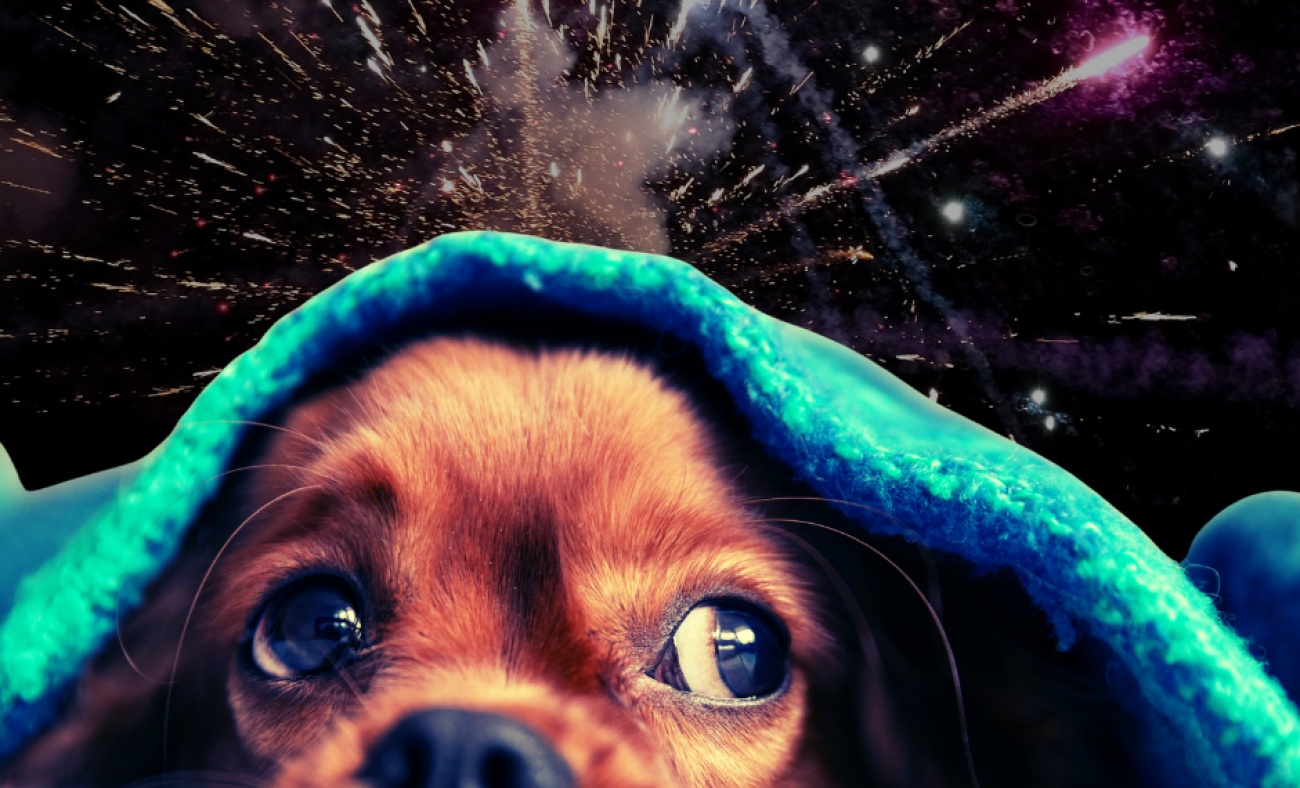 Pirotehnika nije zabava: ugrožava djecu, uznemiruje ljude i plaši životinje