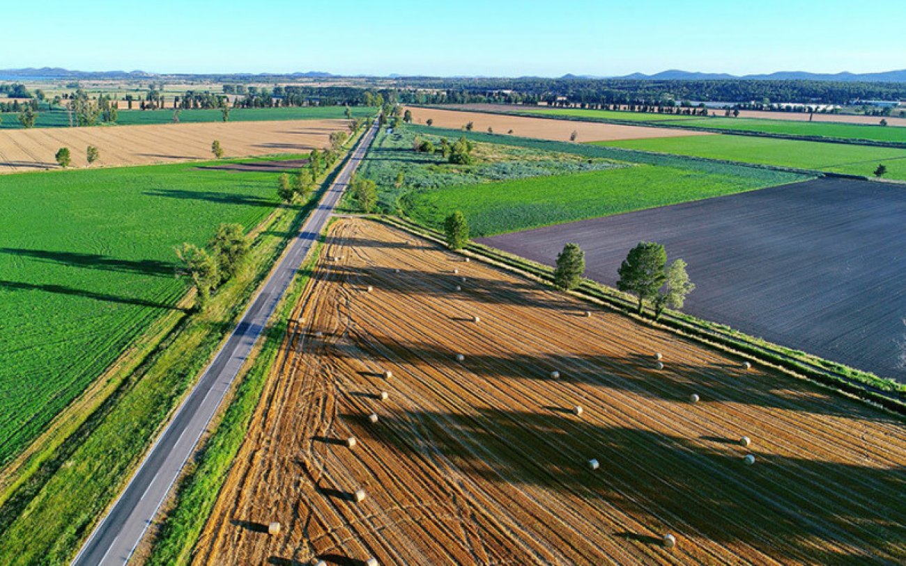 Zadarska županija potiče ulaganja u poljoprivrednu proizvodnju