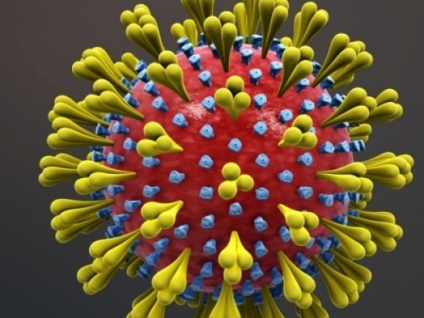 U protekla četiri dana na području Zadarske županije zabilježeno je 166 novih slučajeva zaraze koronavirusom