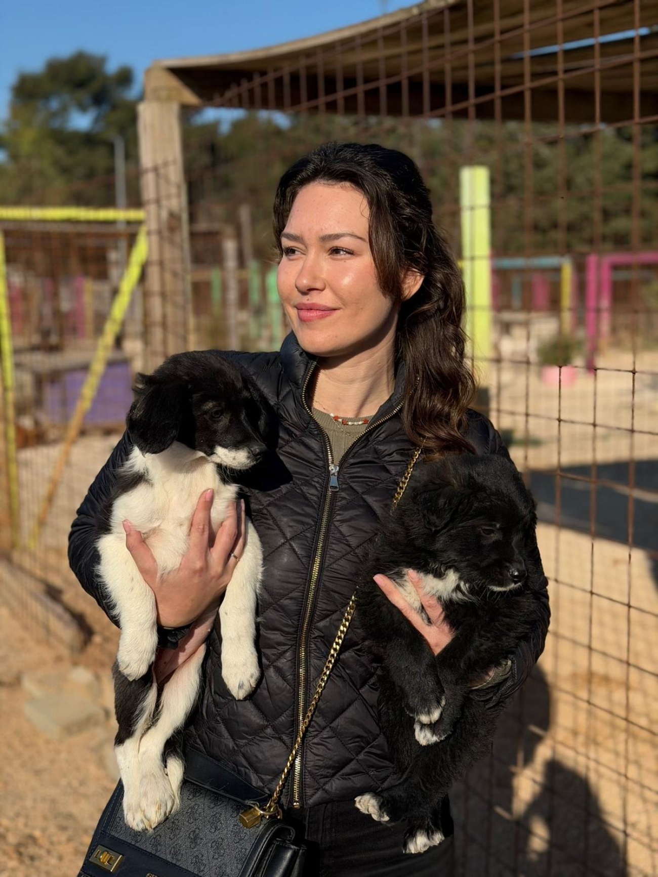 Psi sa Žmirića preseljeni u novi azil na Bokanjcu