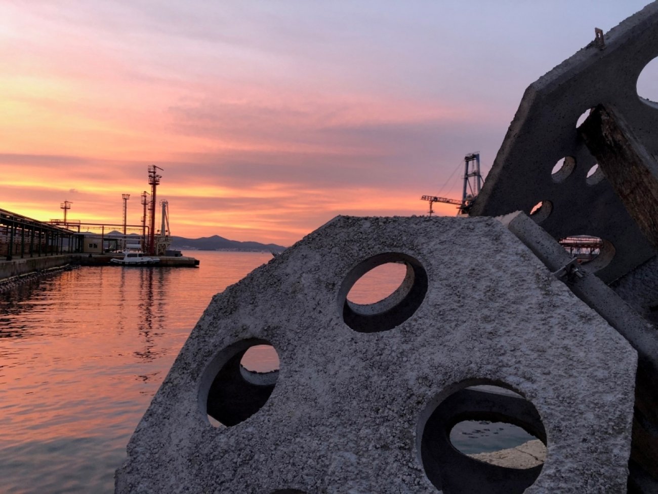 Zadarska županija ima prvi umjetni riblji greben u Hrvatskoj