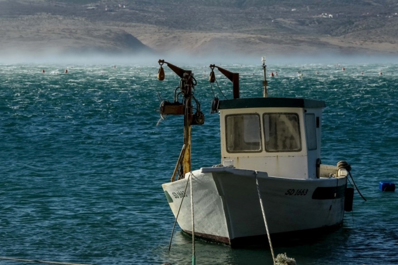 Zadarska županija provodi pilot projekt prijenosa novozelandske tehnologije uzgoja daganja na projektu DORY