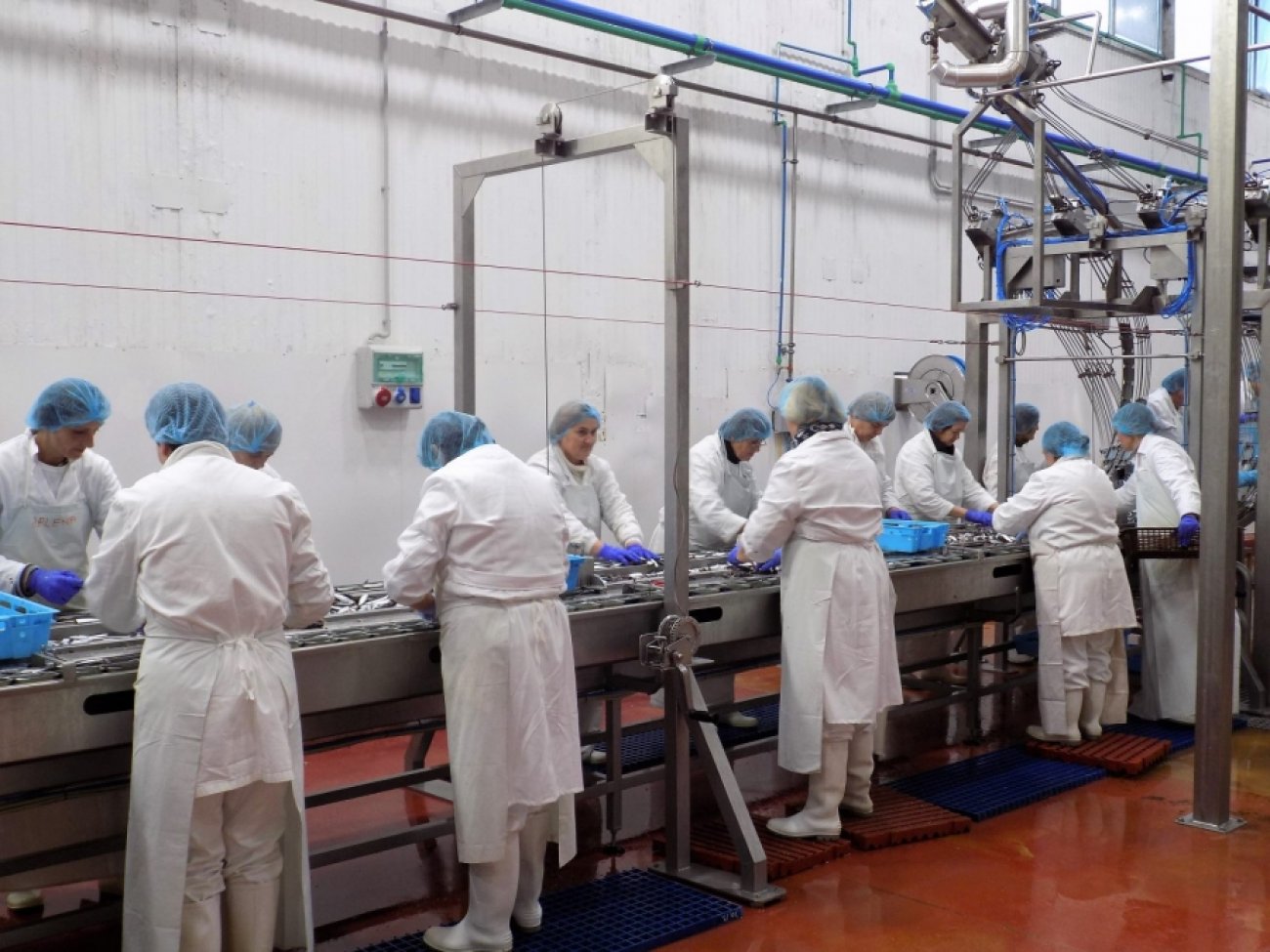 Unatoč korona krizi 2020. godina zaključena s rekordnim brojem zaposlenih