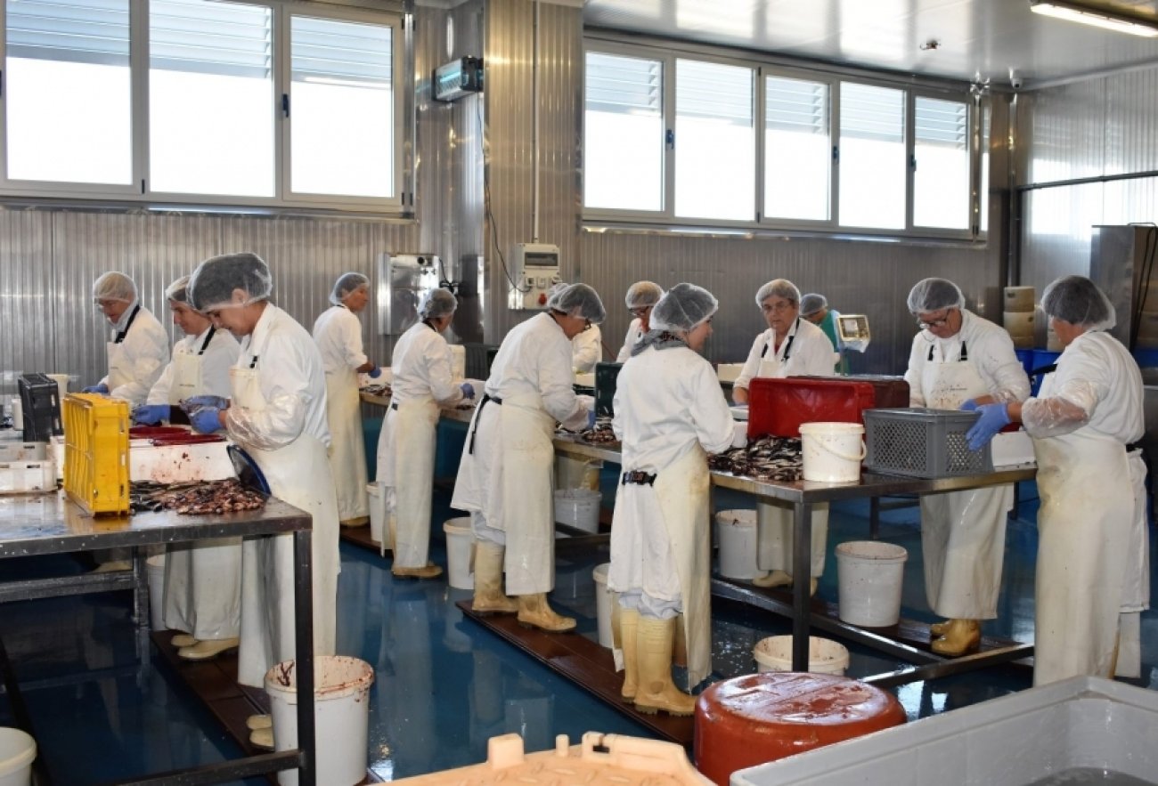 Zadarska županija i u srpnju bilježi porast zaposlenih, u prvih sedam mjeseci 39 posto više turista